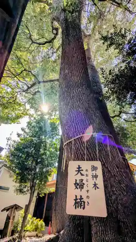 鳩ヶ谷氷川神社(埼玉県)