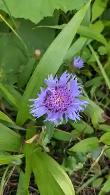 桂昌寺(岐阜県)