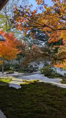 興聖寺(京都府)