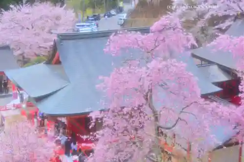 金櫻神社(山梨県)