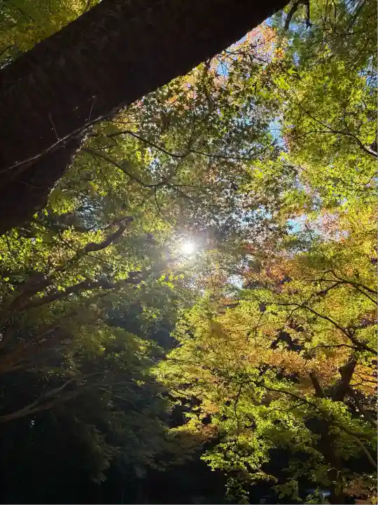 財賀寺(愛知県)