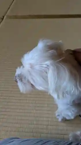 本昌寺(京都府)