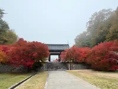 光信寺の山門・神門