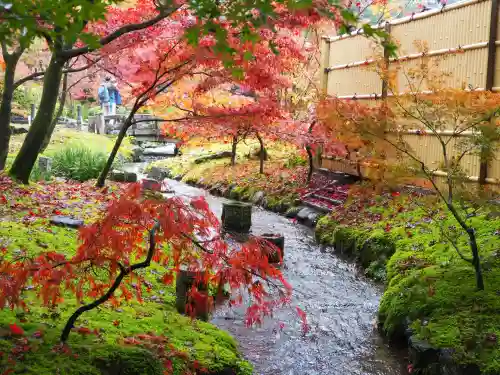 禅林寺（永観堂）(京都府)