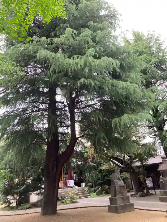 青山熊野神社(東京都)