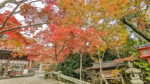鍬山神社(京都府)