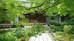 常寂光寺(京都府)