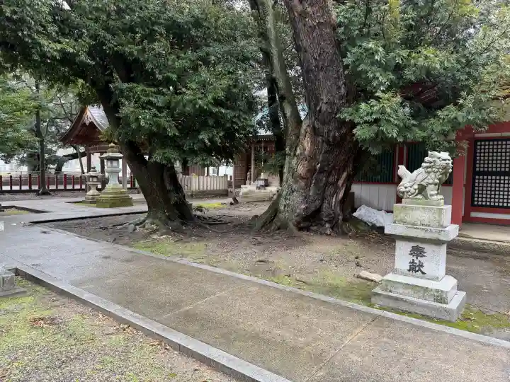 角鹿神社の{uncategorized: "未分類", other: "その他", undefined: "問題あり", building: "その他建物", grave: "お墓", sacred_gate: "鳥居", guardian: "狛犬", statue: "像", buddha: "仏像", history: "歴史", nature: "自然", garden: "庭園", animal: "動物", pagoda: "塔", temizu: "手水舎", mountain_gate: "山門・神門", sanctuary: "本殿・本堂", subordinate: "末社・摂社", art: "芸術", scenery: "景色", jizo: "地蔵", ema: "絵馬", goshuin: "御朱印", omikuji: "おみくじ", items: "授与品その他", amulet: "お守り", goshuincho: "御朱印帳", eats: "食事", festival: "お祭り", votive_dance: "神楽", shichigosan: "七五三参", wedding: "結婚式", experience: "体験その他", initially: "初詣", around: "周辺", anti_infection: "感染症対策"}
