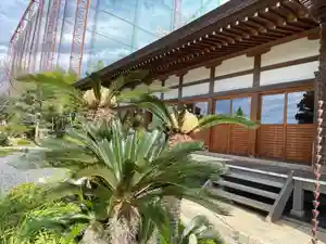 正光寺(静岡県)(2023年10月10日(火) 09時20分05秒投稿)