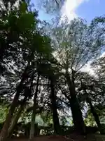 天引八幡神社(京都府)