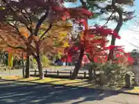 高麗神社の自然