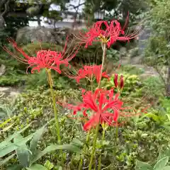 豊景神社(福島県)