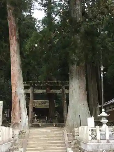 室生龍穴神社の鳥居