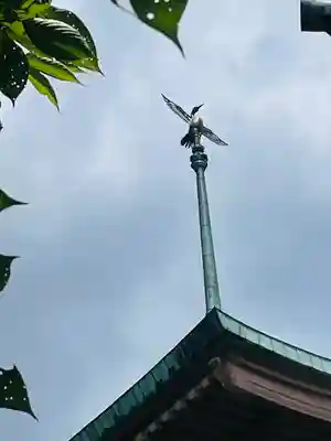 大雲院(京都府)