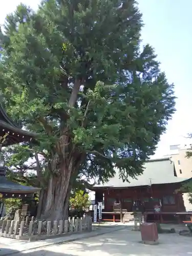 飛騨国分寺(岐阜県)