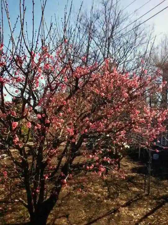 福蔵院(東京都)