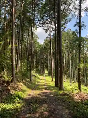 横山神社の周辺