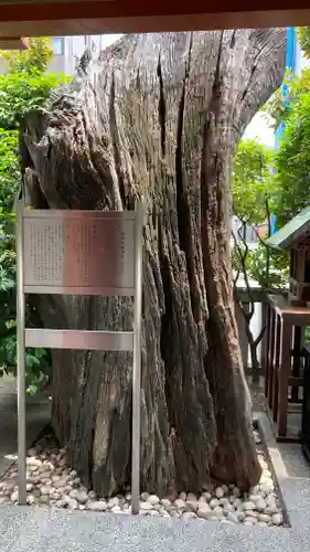 茨住吉神社(大阪府)