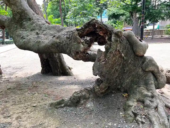 武水別神社の自然
