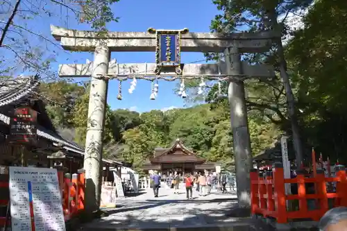 出雲大神宮の鳥居