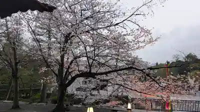 知恩院(京都府)