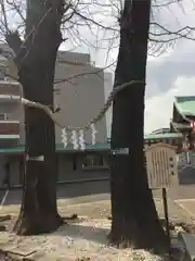 千住神社の自然