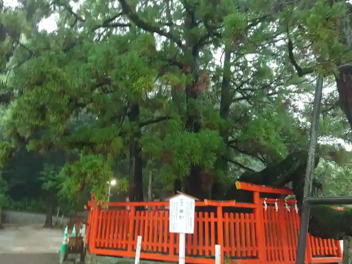 香椎宮(福岡県)