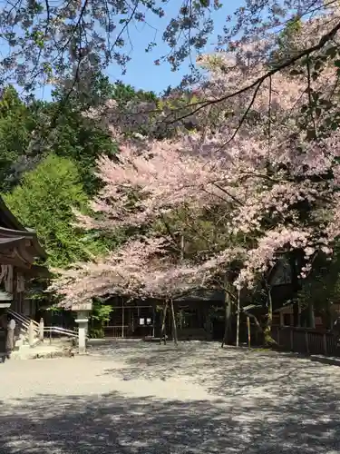 椿大神社の自然