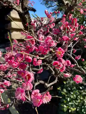無量寺(東京都)