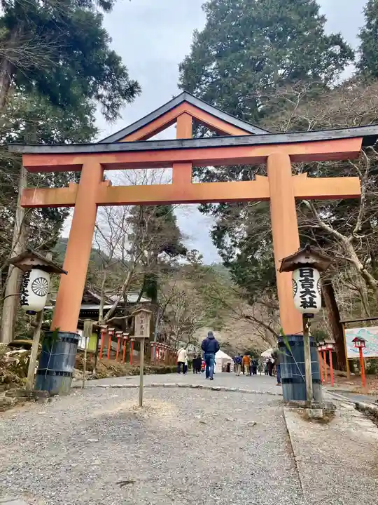 日吉大社の鳥居