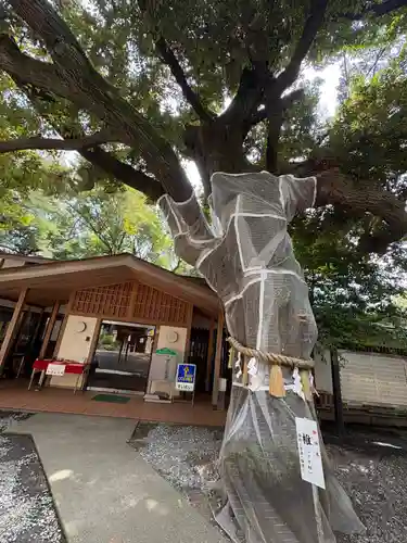 座間神社(神奈川県)