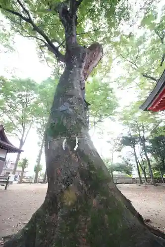 秋津神社(東京都)