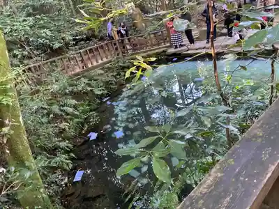 八重垣神社(島根県)