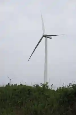 天王山 安楽寺(福井県)