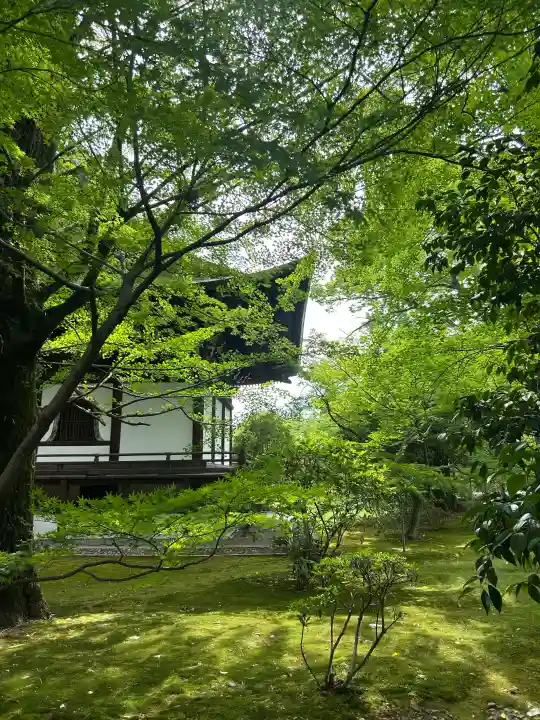 廣隆寺の{uncategorized: "未分類", other: "その他", undefined: "問題あり", building: "その他建物", grave: "お墓", sacred_gate: "鳥居", guardian: "狛犬", statue: "像", buddha: "仏像", history: "歴史", nature: "自然", garden: "庭園", animal: "動物", pagoda: "塔", temizu: "手水舎", mountain_gate: "山門・神門", sanctuary: "本殿・本堂", subordinate: "末社・摂社", art: "芸術", scenery: "景色", jizo: "地蔵", ema: "絵馬", goshuin: "御朱印", omikuji: "おみくじ", items: "授与品その他", amulet: "お守り", goshuincho: "御朱印帳", eats: "食事", festival: "お祭り", votive_dance: "神楽", shichigosan: "七五三参", wedding: "結婚式", experience: "体験その他", initially: "初詣", around: "周辺", anti_infection: "感染症対策"}
