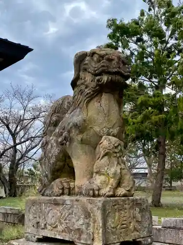 網野神社の狛犬