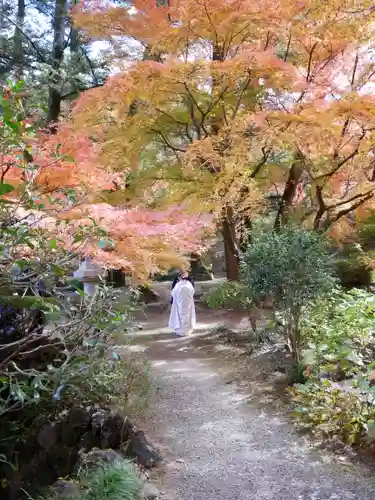 洞窟観音・徳明園・山徳記念館の景色