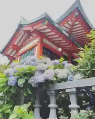 大島稲荷神社の自然