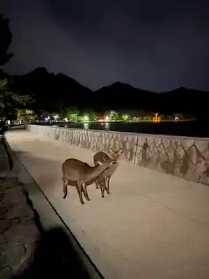 厳島神社(広島県)
