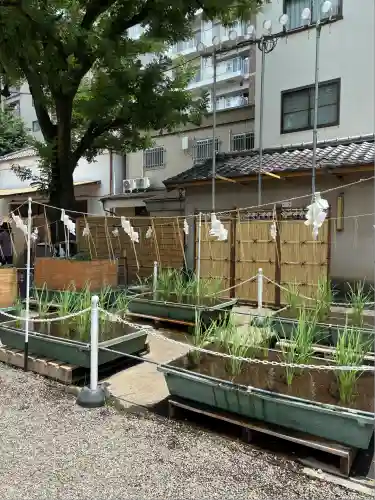 浅草神社の庭園