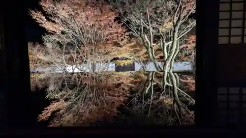 妙覺寺（妙覚寺）(京都府)
