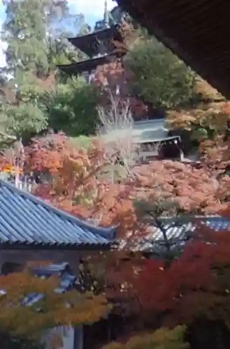 禅林寺（永観堂）の景色