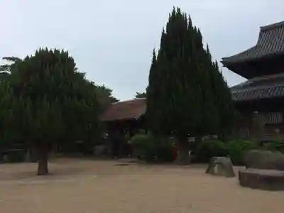 周防国分寺(山口県)