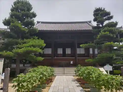 常楽寺の本殿・本堂