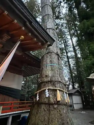 御杖神社(奈良県)