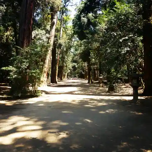 鹿島神宮の自然