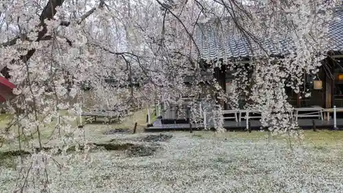 醍醐寺(京都府)