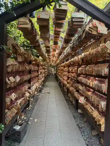 川越氷川神社(埼玉県)