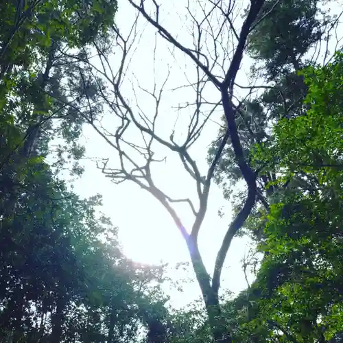 戸隠神社の自然