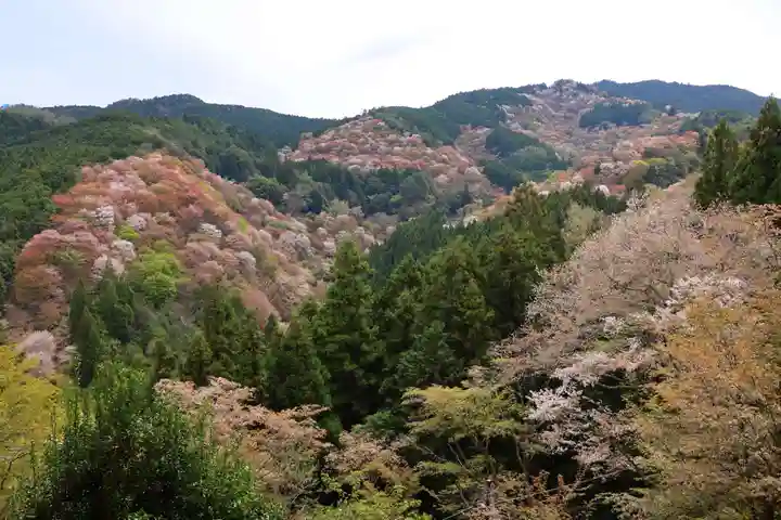 𠮷水神社(吉水神社)(奈良県)